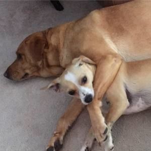 Meet your Posher, Patty